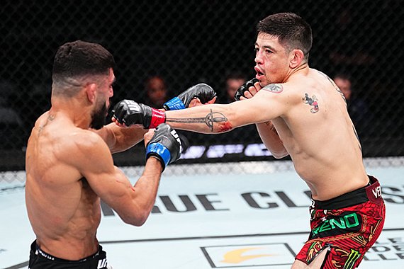 UFC Fight Night: Brandon Moreno vs. Amir Albazi Fight Recap!